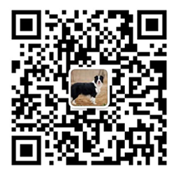 weixin